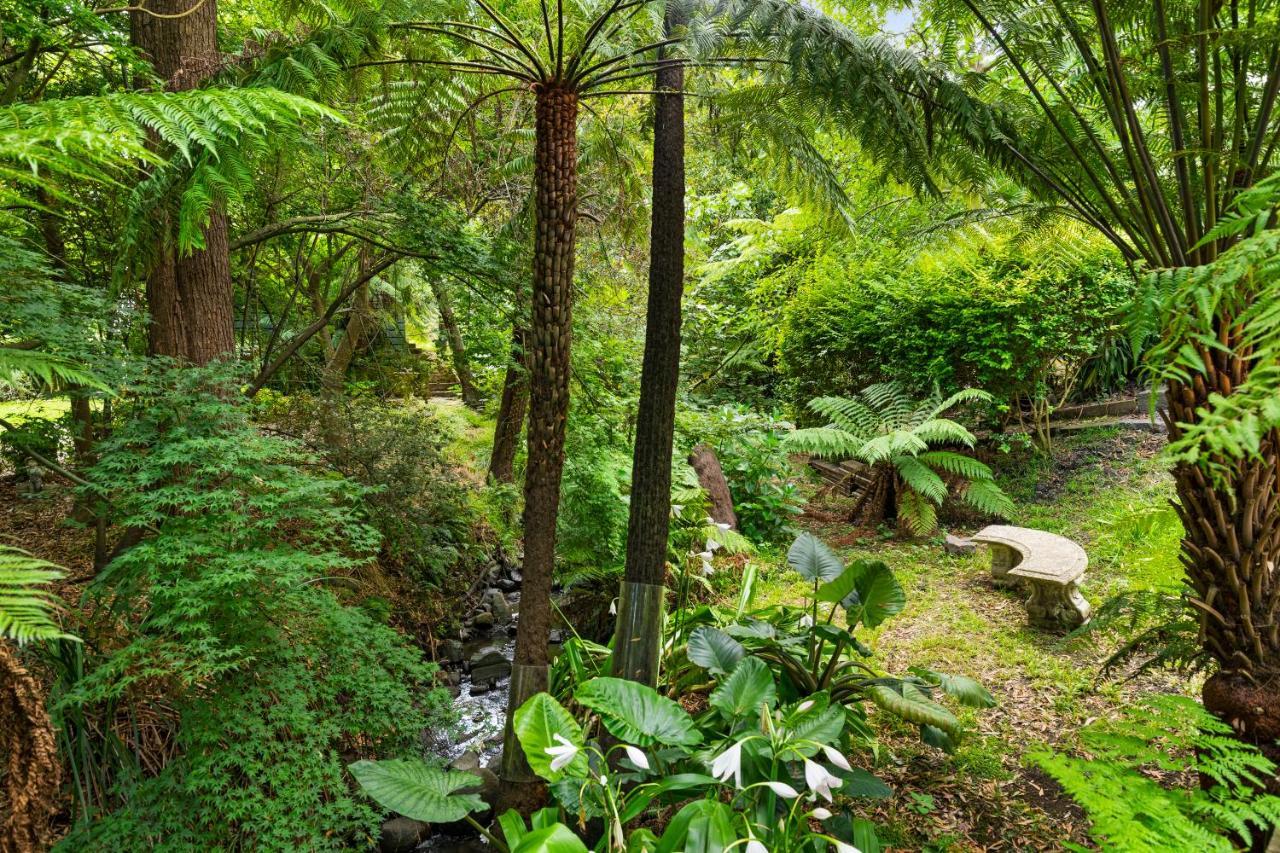 Villa Paddys Creek Retreat Upwey Exterior foto