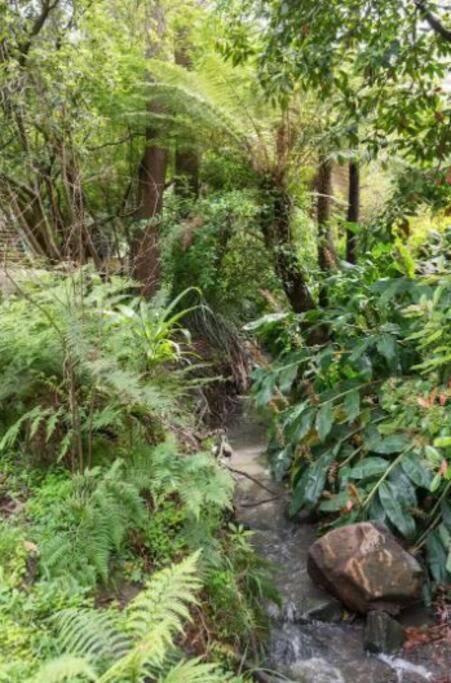 Villa Paddys Creek Retreat Upwey Exterior foto