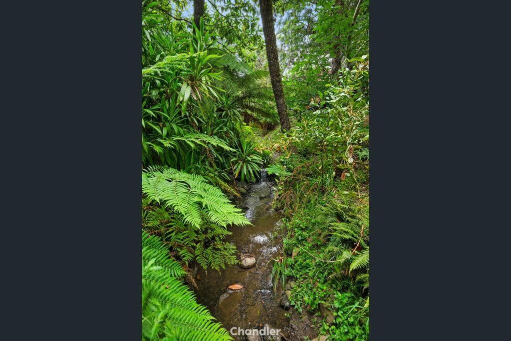 Villa Paddys Creek Retreat Upwey Exterior foto